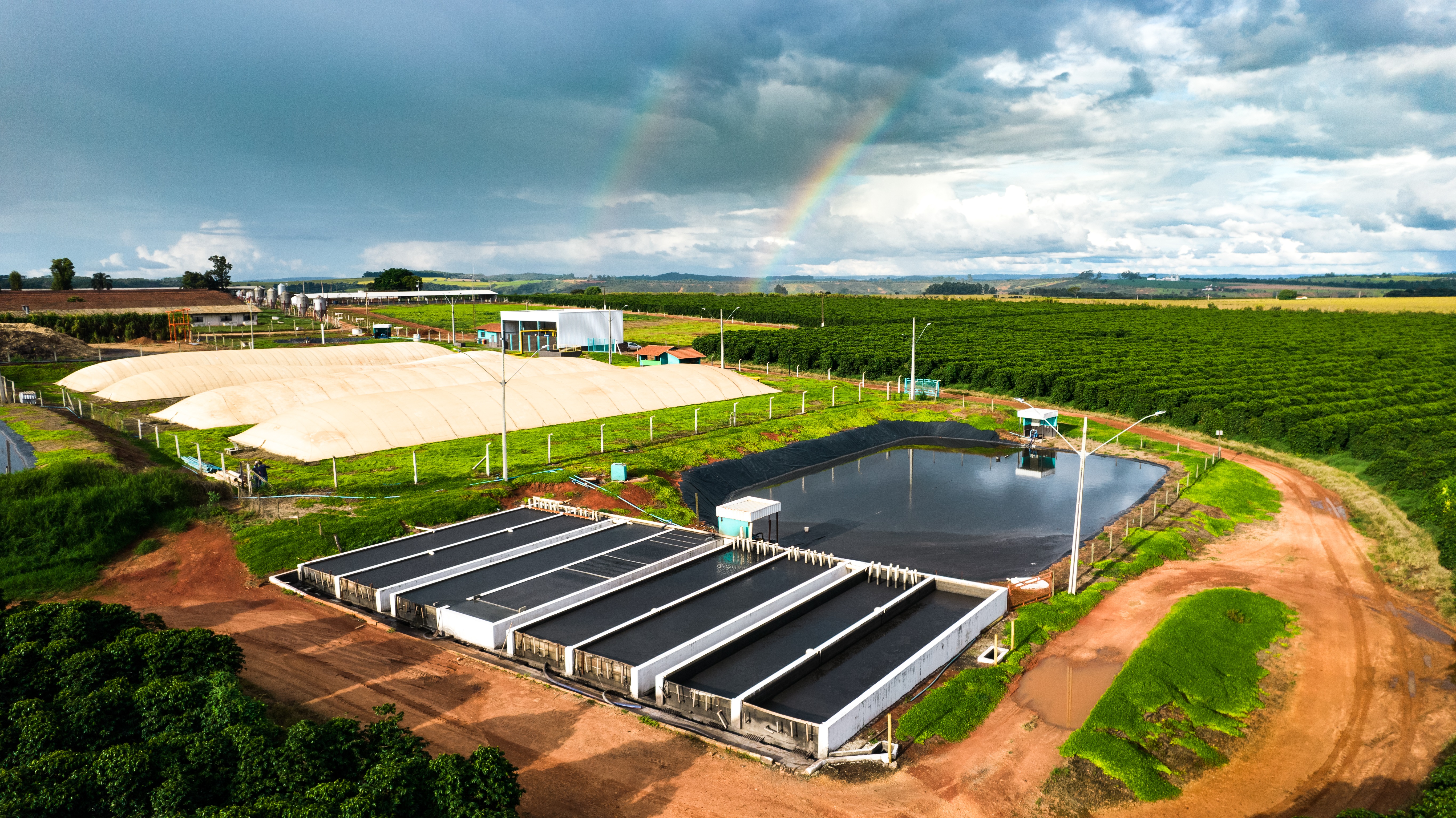 MWM e AUMA lançam solução de geração de energia à biogás, em economia circular, para pequenas propriedades do agro