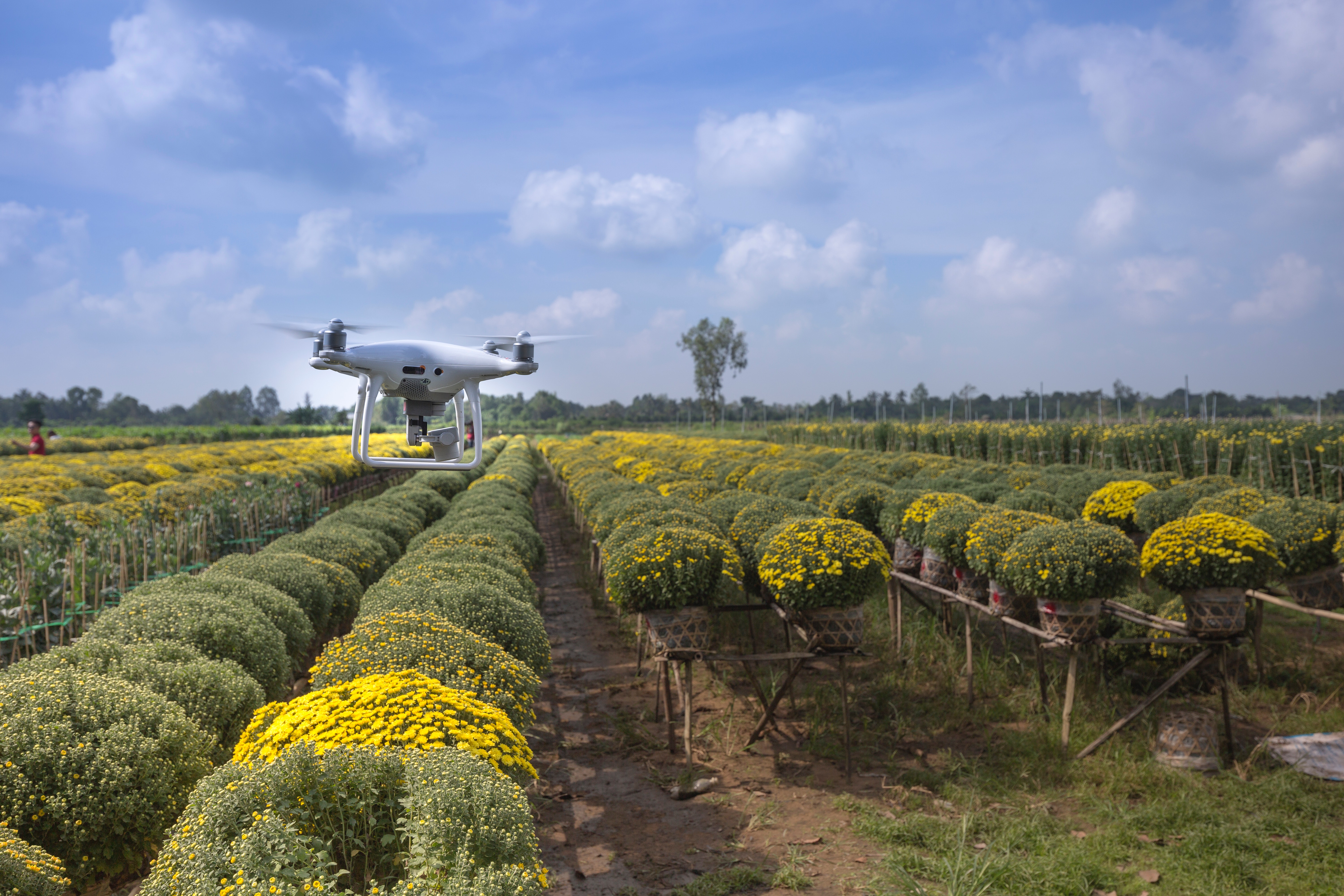 Agrotech: Novas tecnologias garantem mais agilidade e produtividade ao agronegócio brasileiro